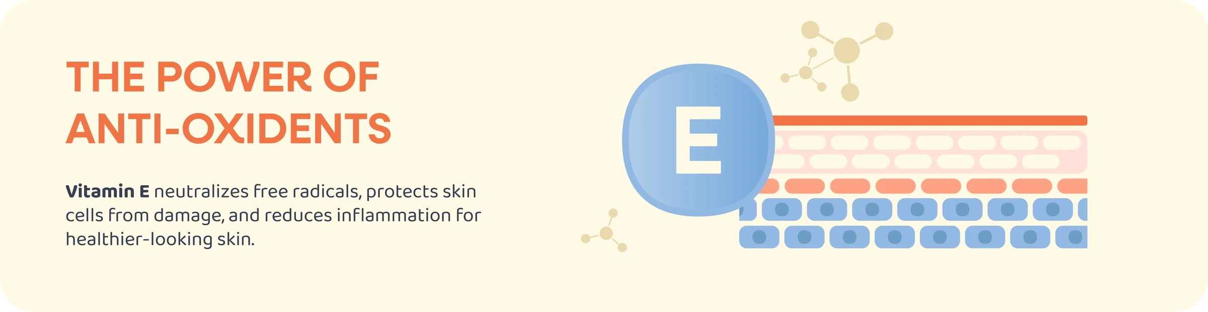 The Power of Antioxidants - Vitamin E Protection