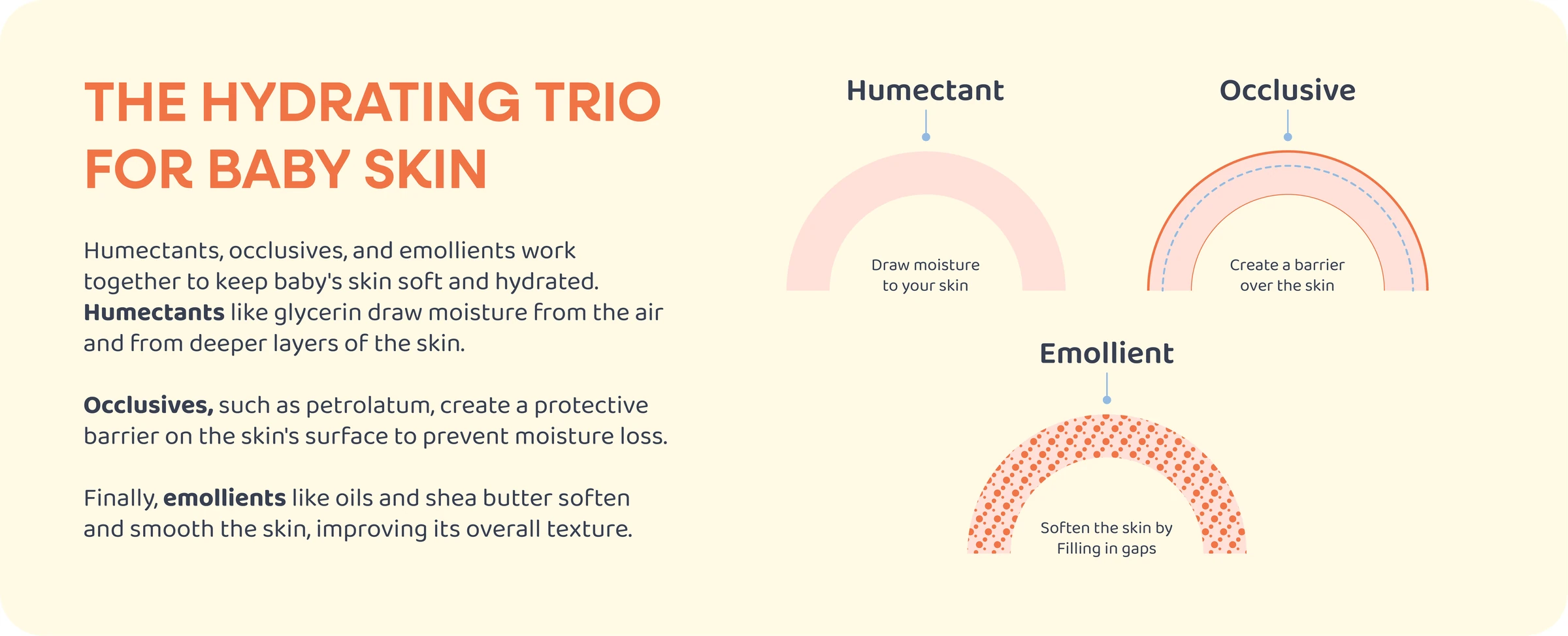 Hydrating Trio - Humectants, Emollients, Occlusives