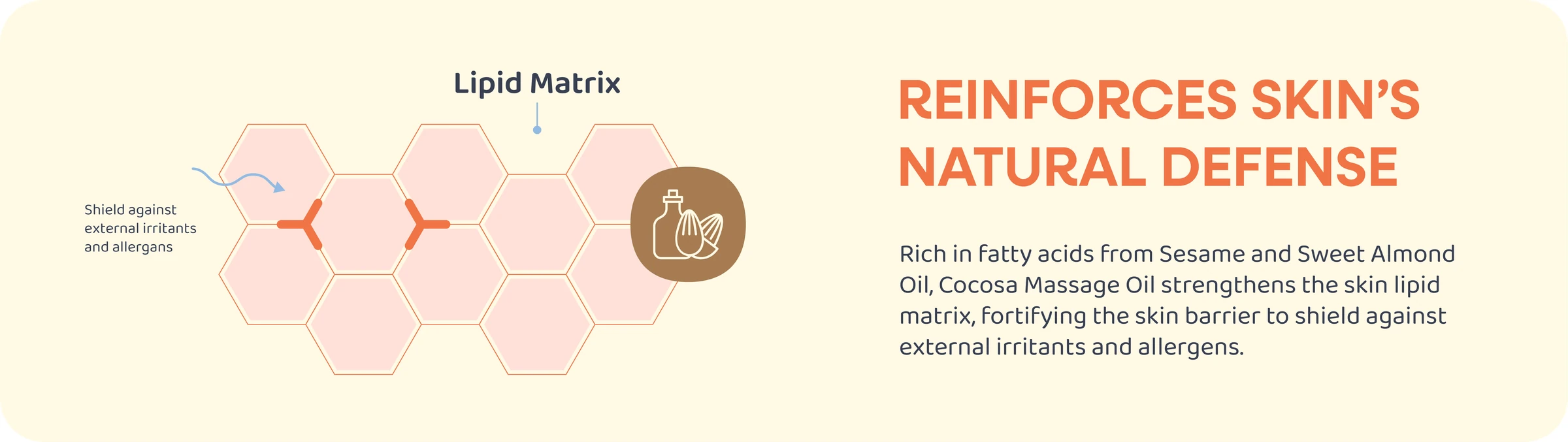 Reinforces Natural Skin Defense - Little Q Baby Massage Oil